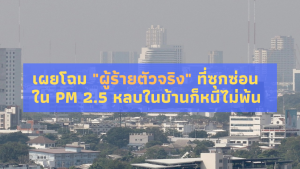 เผยโฉม "ผู้ร้ายตัวจริง" ที่ซุกซ่อนใน PM 2.5 หลบในบ้านก็หนีไม่พ้น