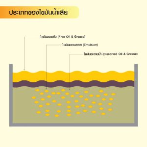 ประเภทของไขมันในน้ำเสีย